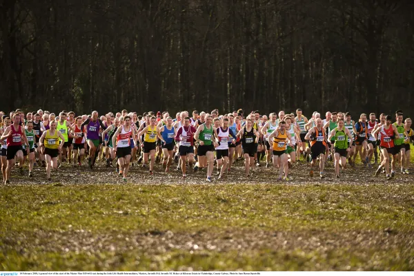 Competitive races expected in Dundalk