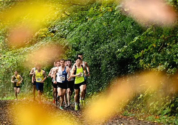 Autumn Open International & Senior Mixed XC Relays